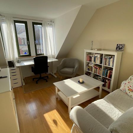 Loft Mit 2 Terrassen - Ruhig&Sonnig Leilighet Leipzig Eksteriør bilde