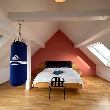 Loft Mit 2 Terrassen - Ruhig&Sonnig Leilighet Leipzig Eksteriør bilde