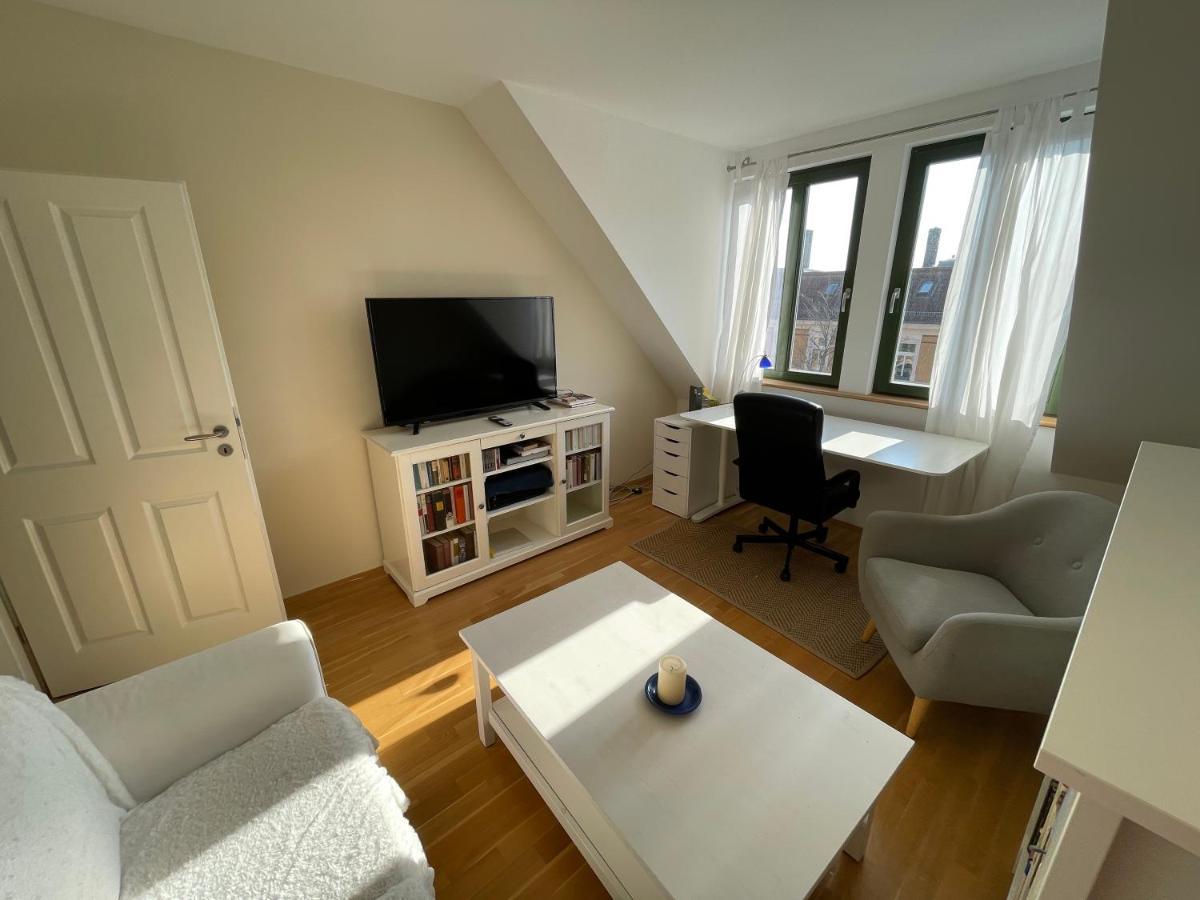 Loft Mit 2 Terrassen - Ruhig&Sonnig Leilighet Leipzig Eksteriør bilde
